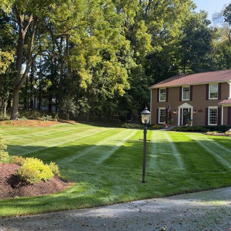 Lawn Maintenance