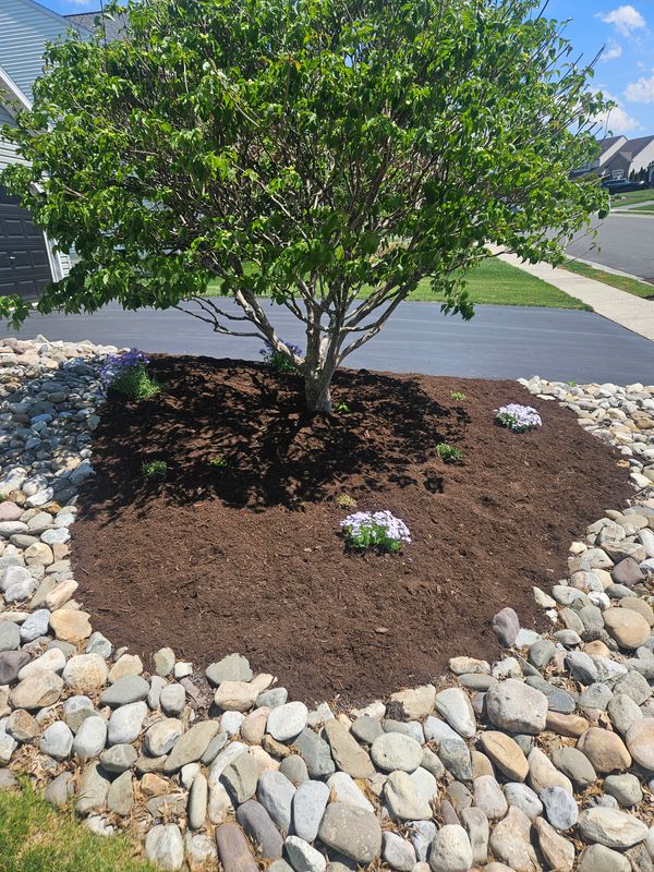 Landscape Design