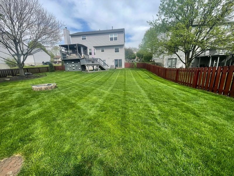 Mowing