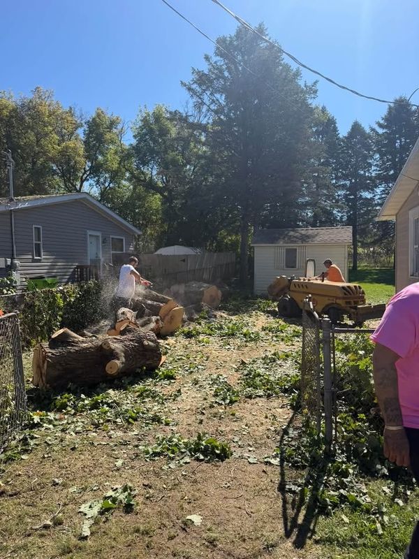Tree Removal