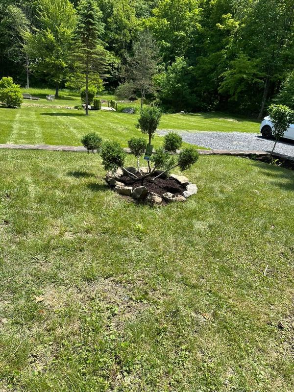 Shrub Trimming