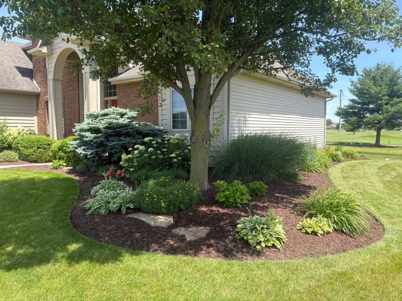 Landscape Design & Installation