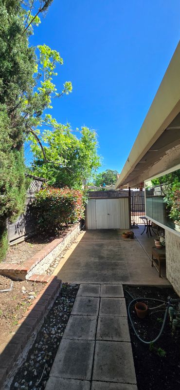 Transforming Backyard Spaces with Expert Tree Care