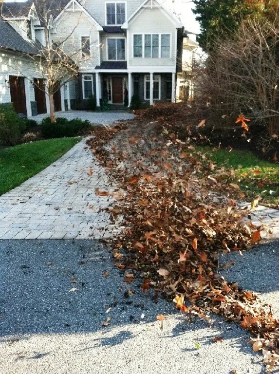 Landscaping Clean Ups