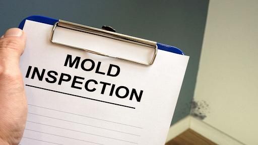 Mold Remediation