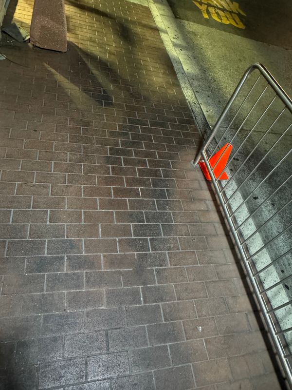 Driveway and Sidewalk Cleaning