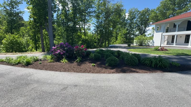 Custom Landscape Design 🌺