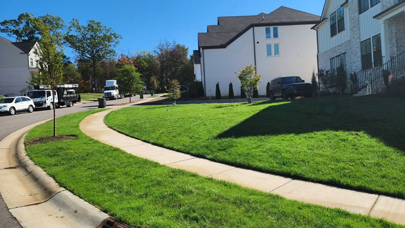 Thatch, Aerate, Overseed, Topcoat