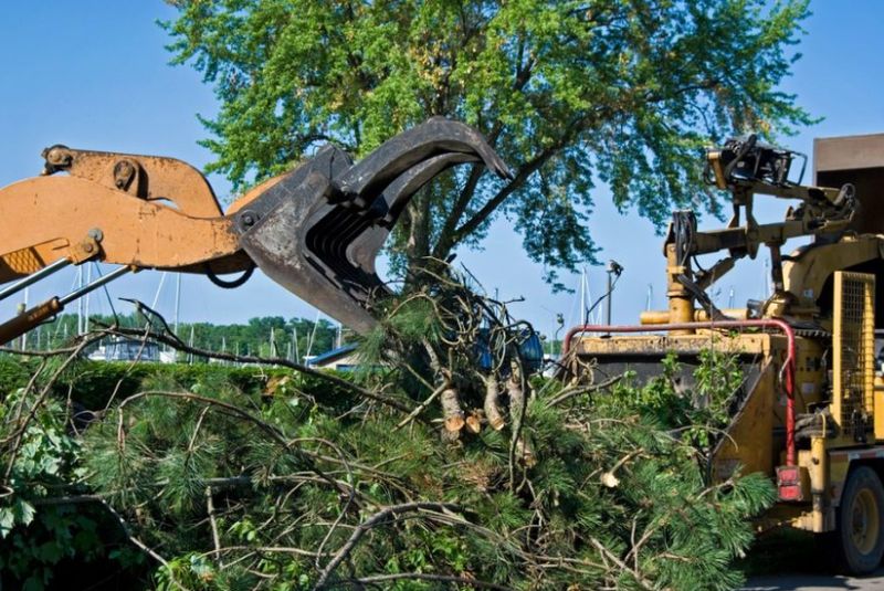 Land Clearing & Demolition