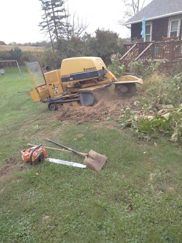 Stump Removal