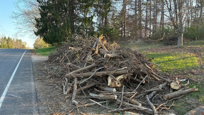 Forrest Rehabilitation