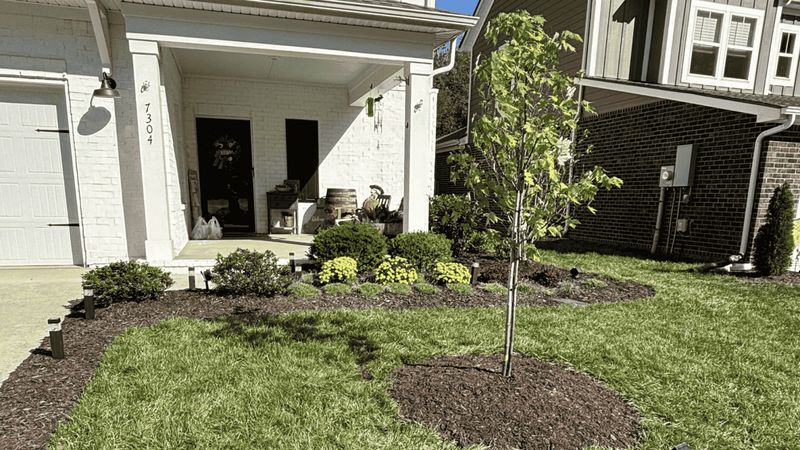 Landscape Design & Installation