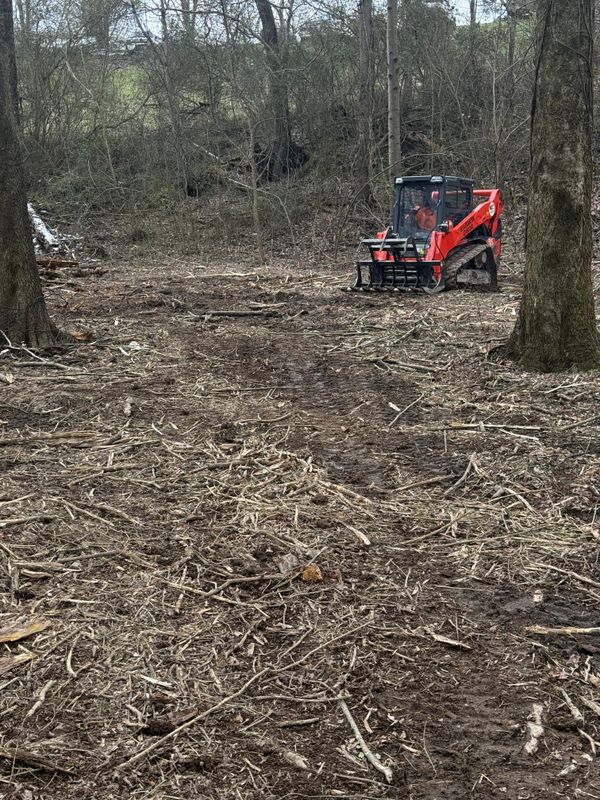 Land Clearing