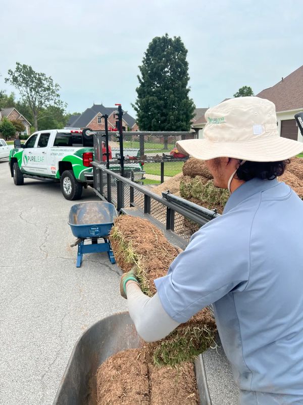 Sod Installation