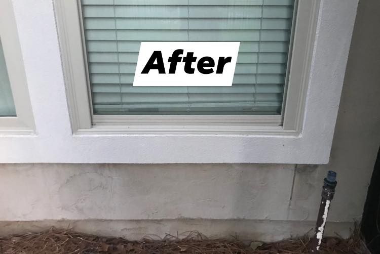Exterior Cleaning