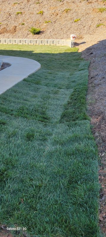 Sod installation 
