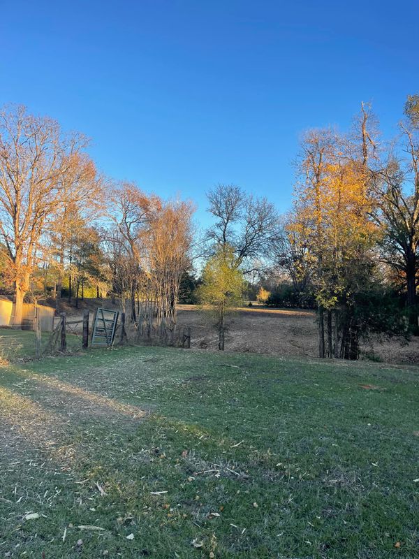 Land Clearing gallery