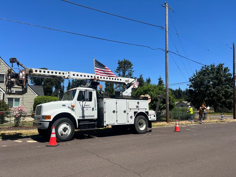 Tree Trimming