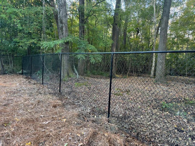 Chain Link