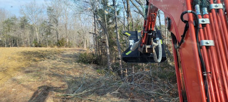 Land Clearing