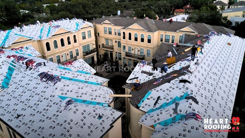 Roof Maintenance