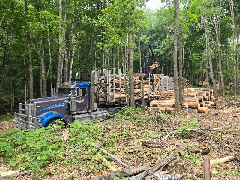 Timber Hauling