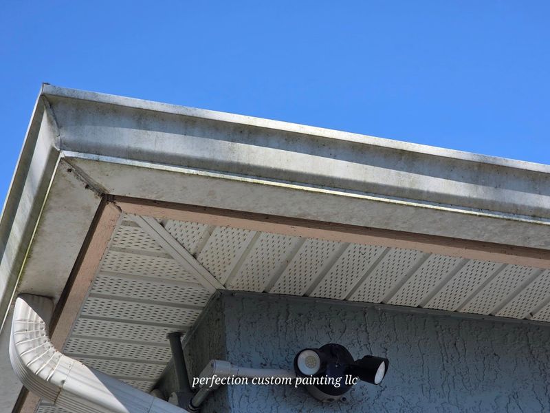 Gutter cleaning