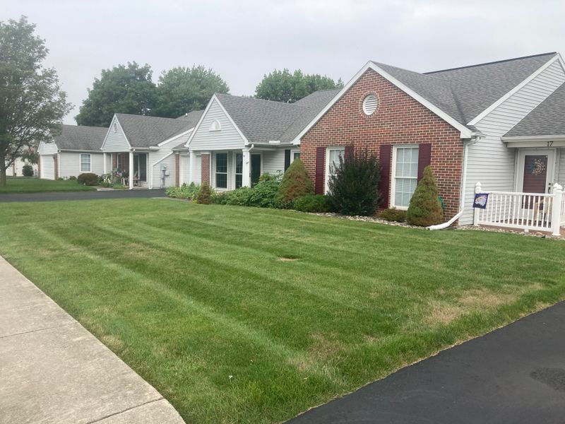 Lawn Maintenance