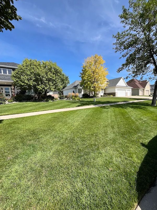 Lawn Maintenance