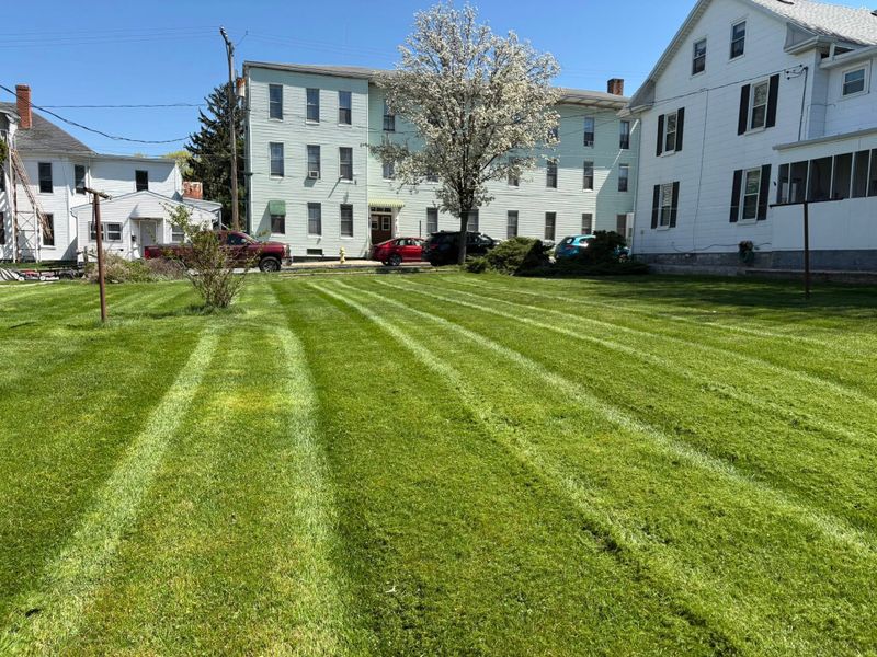 Lawn Maintenance