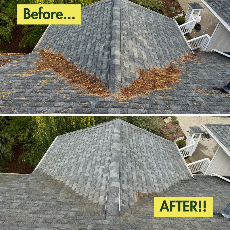 Before & After Photos
