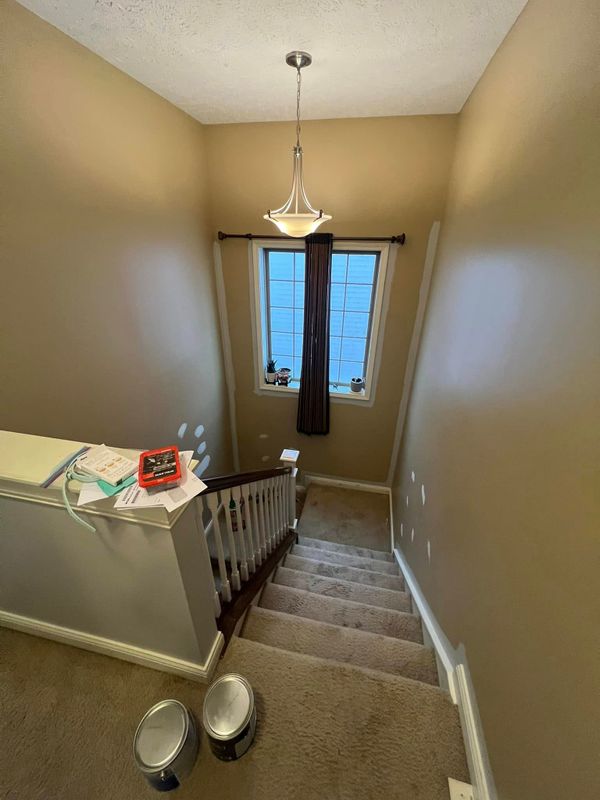 Painting Services
