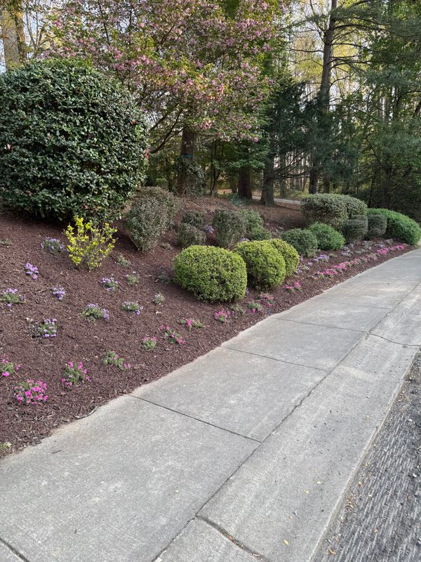 Shrub Trimming