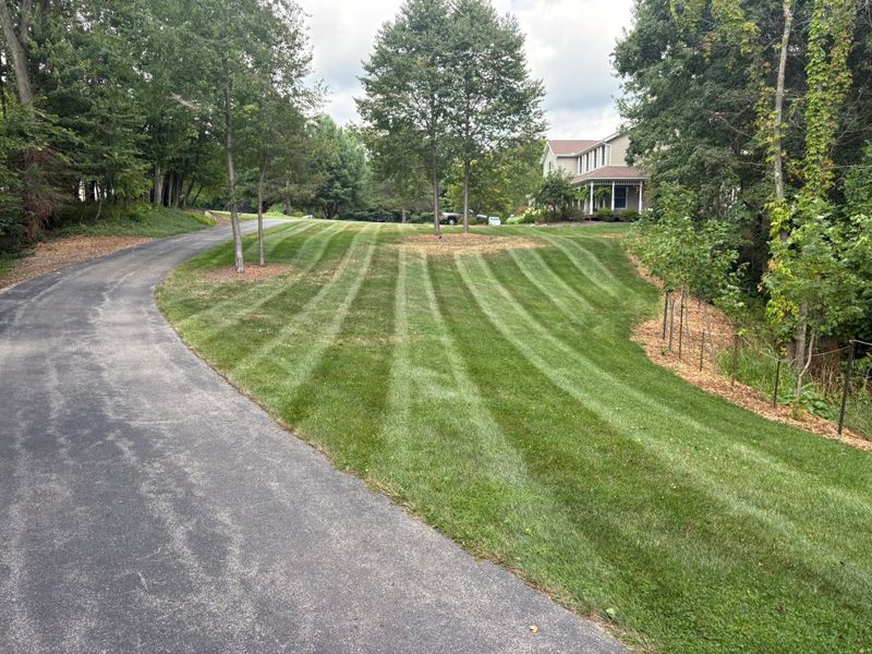 Lawn Maintenance