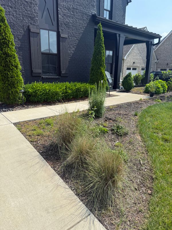 Mulch Installation