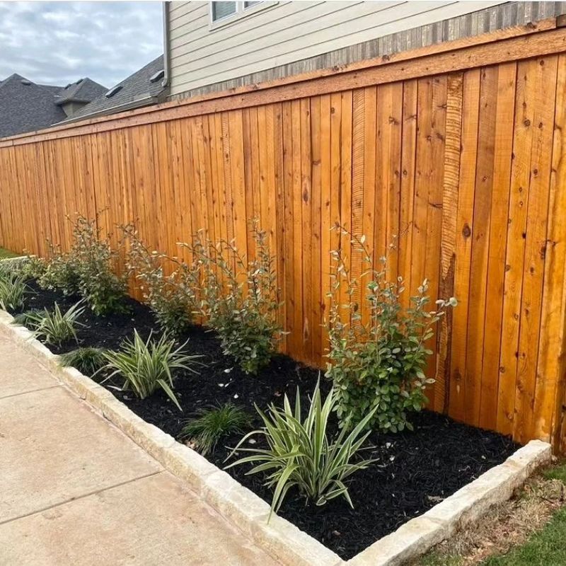 Fence soft wash & staining