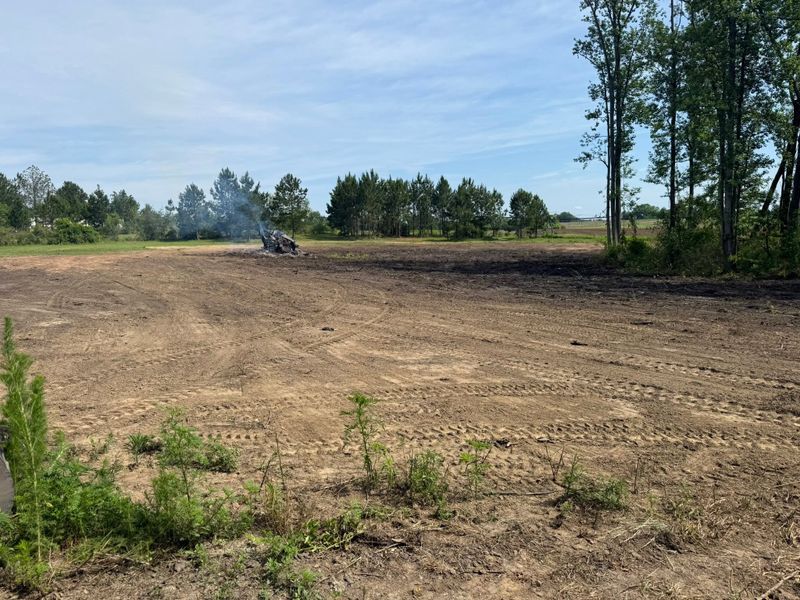 Land Clearing