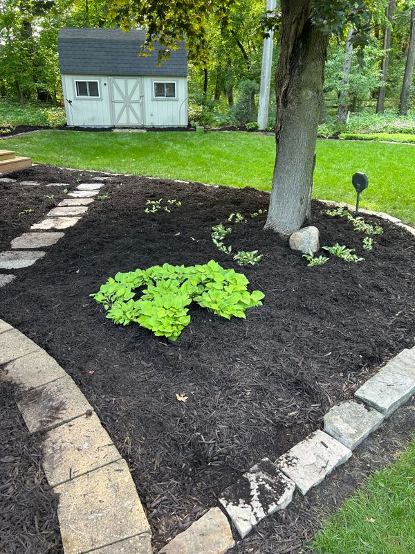 Flower Bed Gallery