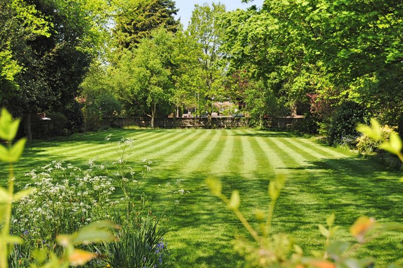 Lawn Maintenance
