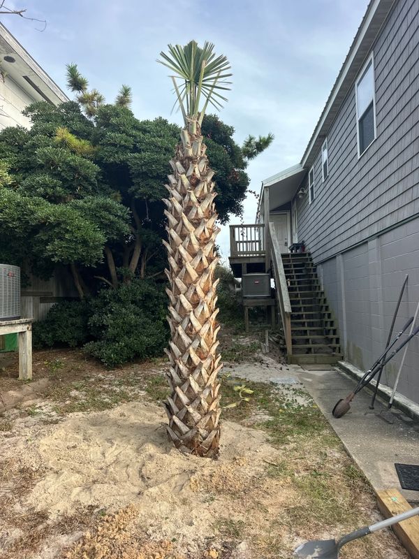 Landscaping