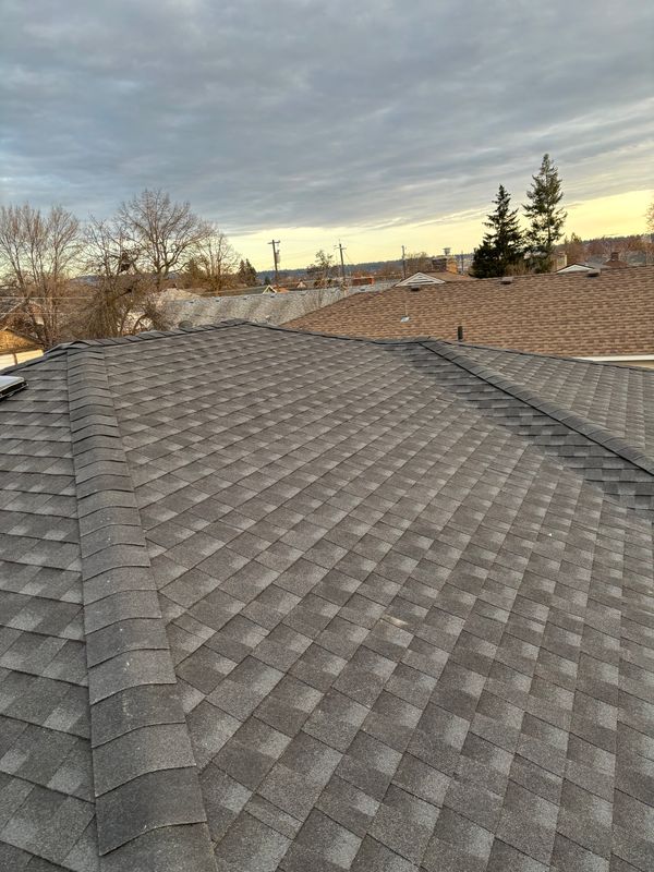 Roofing Repairs
