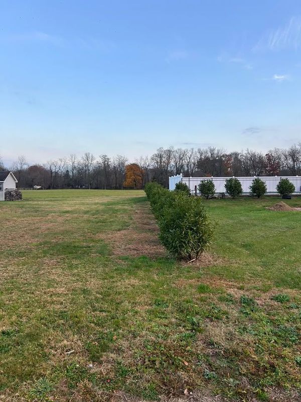 Tree and Shrub Planting