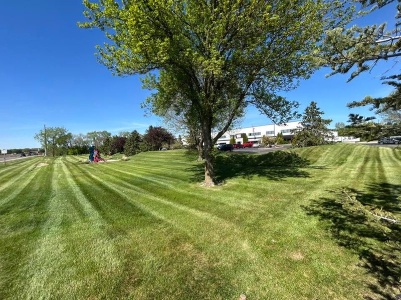 Lawn Maintenance