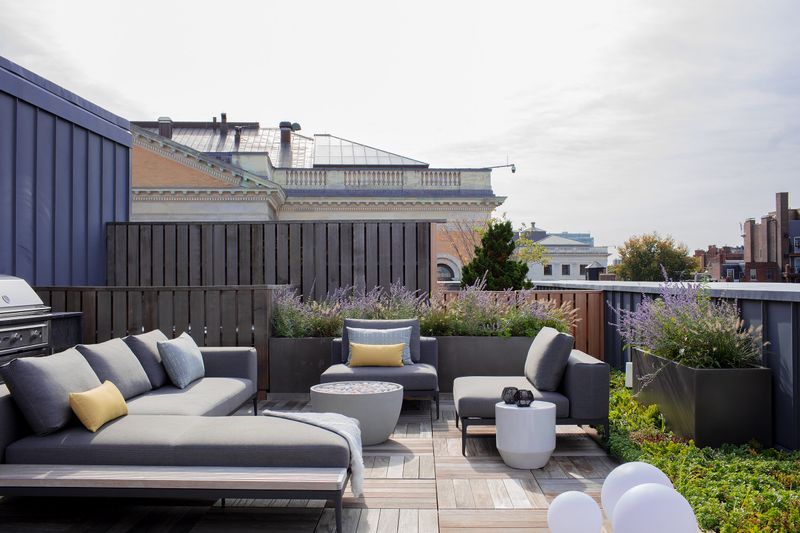 Live Roof