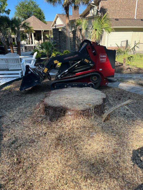 Stump Removal