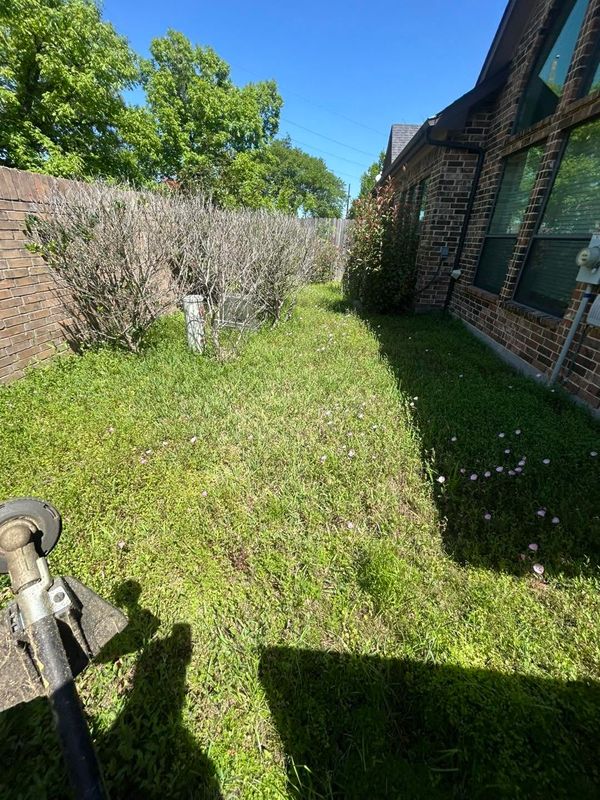 Seasonal Clean-up Services