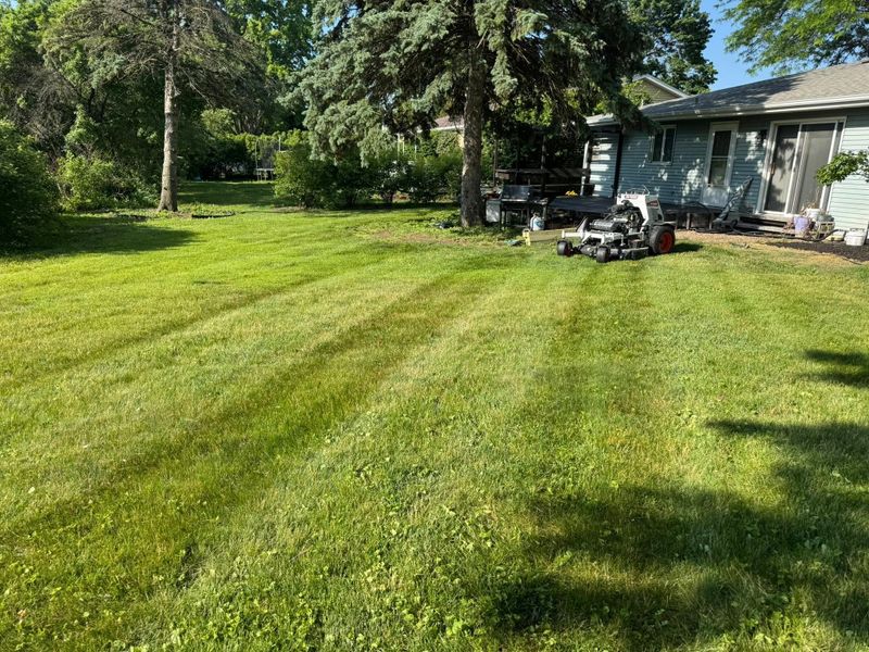 Lawn Mowing