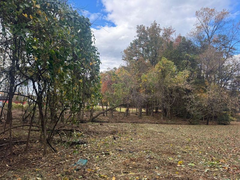 Lot Clearing