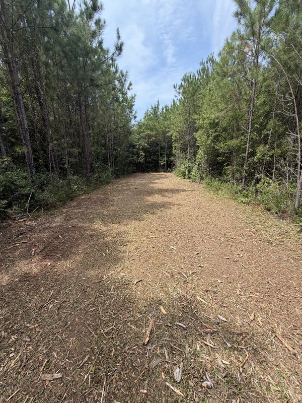 Forestry Mulching