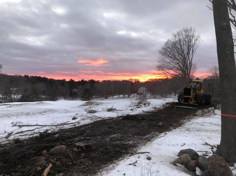 Stump Grinding and Removal